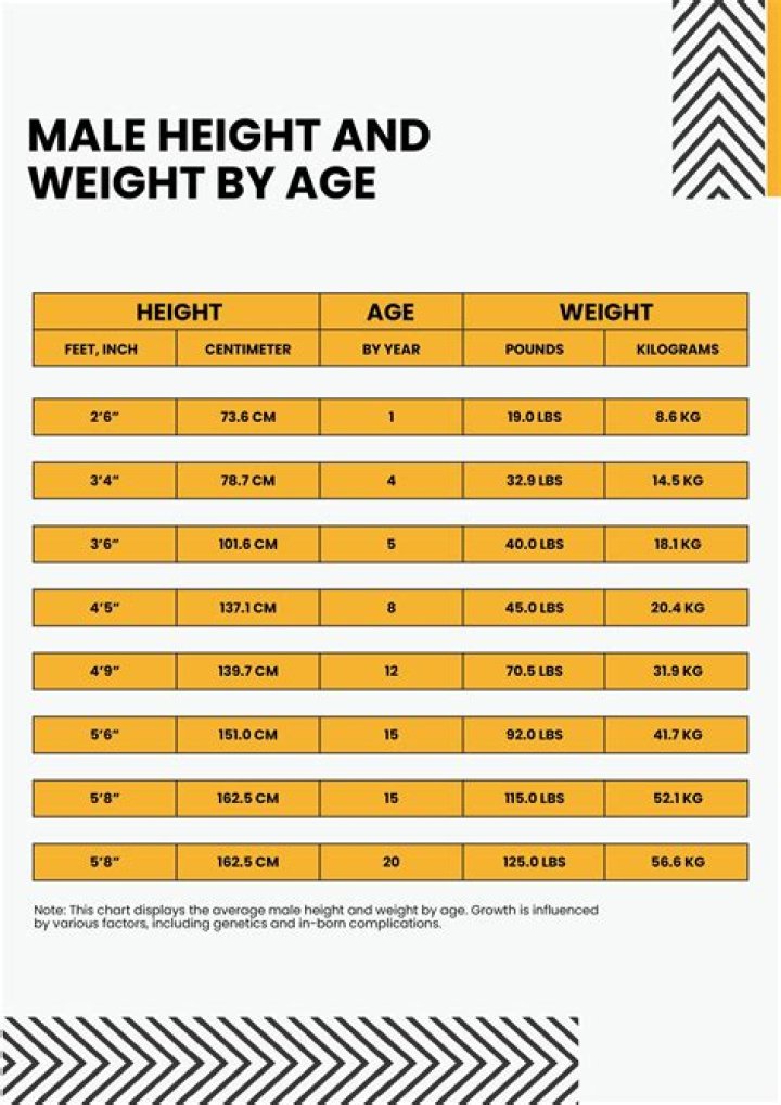 Andrew Scott's Height And Weight: A Comprehensive Guide