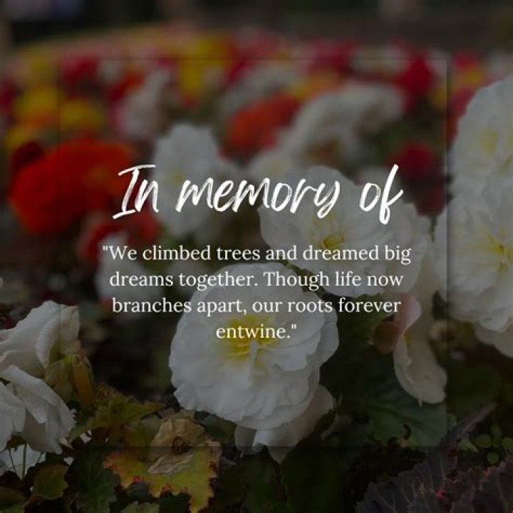Brad Sousa Obituary: A Remembrance Of A Beloved Figure