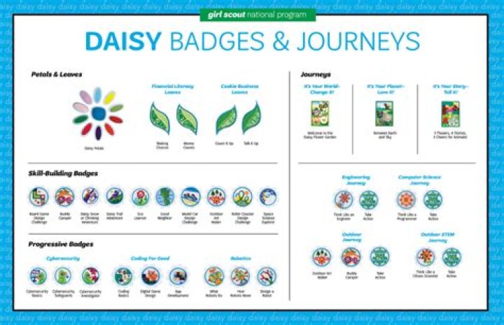 Daisy Blooms Named: A Journey Into The World Of Daisies