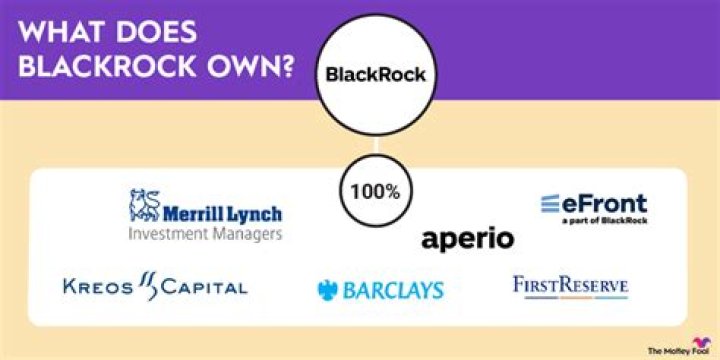 Discovering The Vast Portfolio: What Does BlackRock Own?