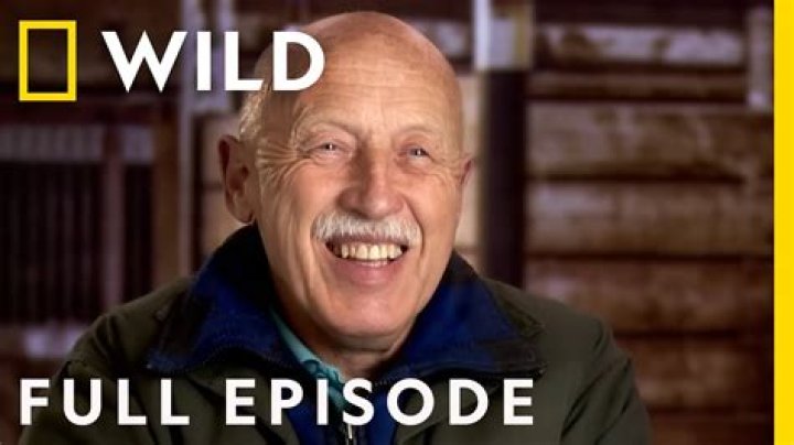 Dr. Pol's Kids: Uncovering The Size Of His Family