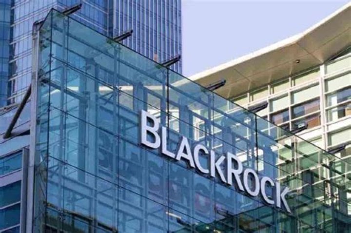 Exploring BlackRock's Net Worth: A Deep Dive Into The Financial Giant