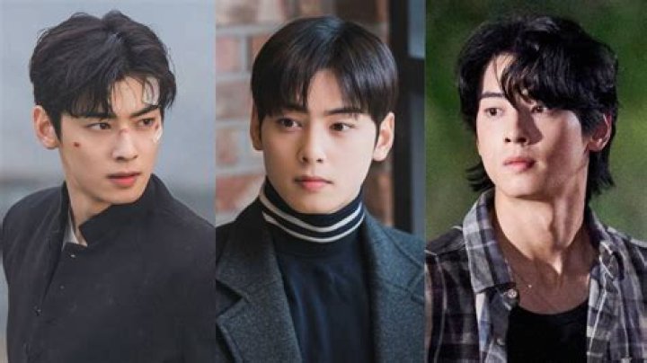 Exploring The Charismatic World Of Cha Eun Woo's TV Shows