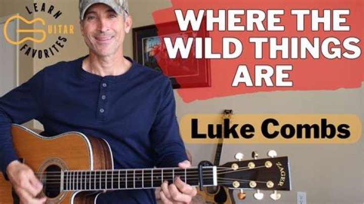 Exploring The Essence Of "Wild Things" By Luke Combs
