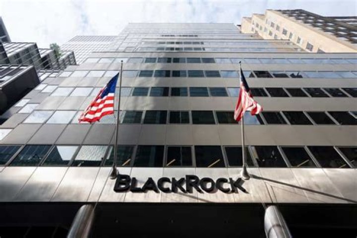 Exploring The Influence Of BlackRock In Malaysia
