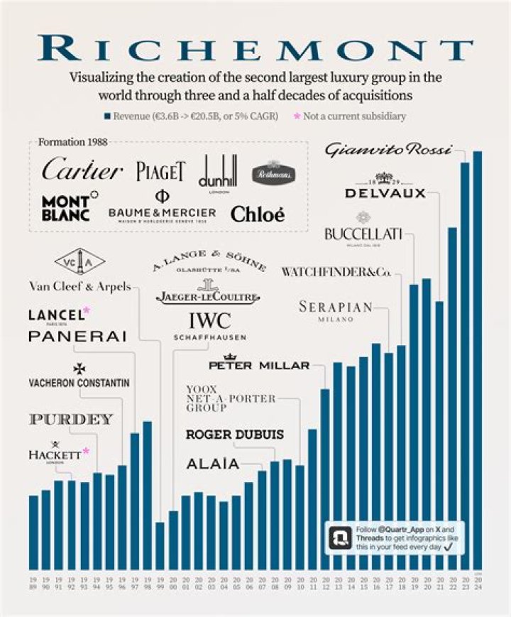 Exploring The Influence Of The Richemont Owner In The Luxury Goods Sector
