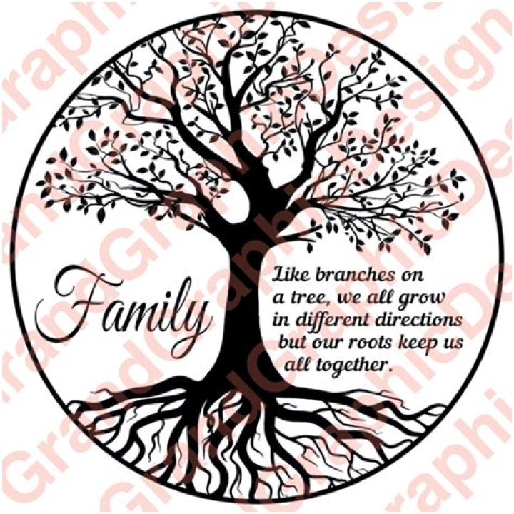 Exploring The Roots: The Life And Family Of Joshua Morrow