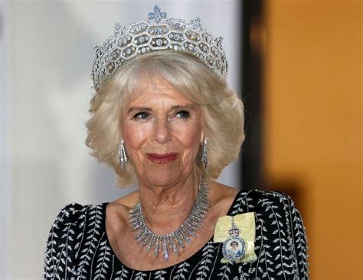Exploring The Wealth Of Camilla Araujo: Understanding Her Net Worth