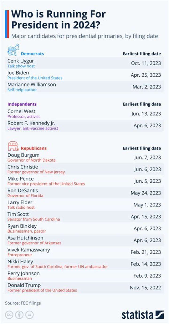 Is Krist Novoselic Officially Running For President In 2024?