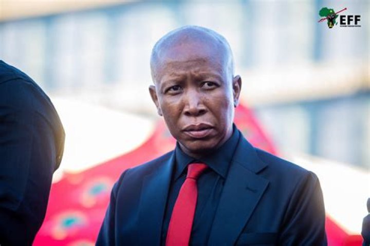 Julius Malema: Unveiling The Politician's Age