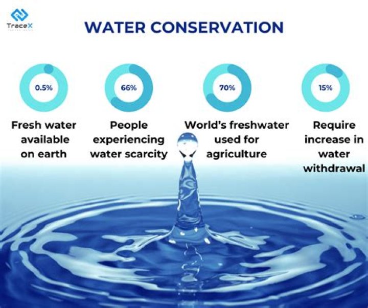 Quiero Agua Gote: The Journey Of Water Conservation And Its Significance