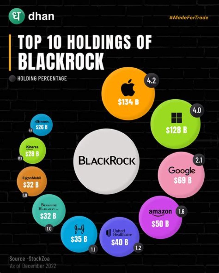 The Hidden Faces Behind BlackRock: Who Are The Owners?