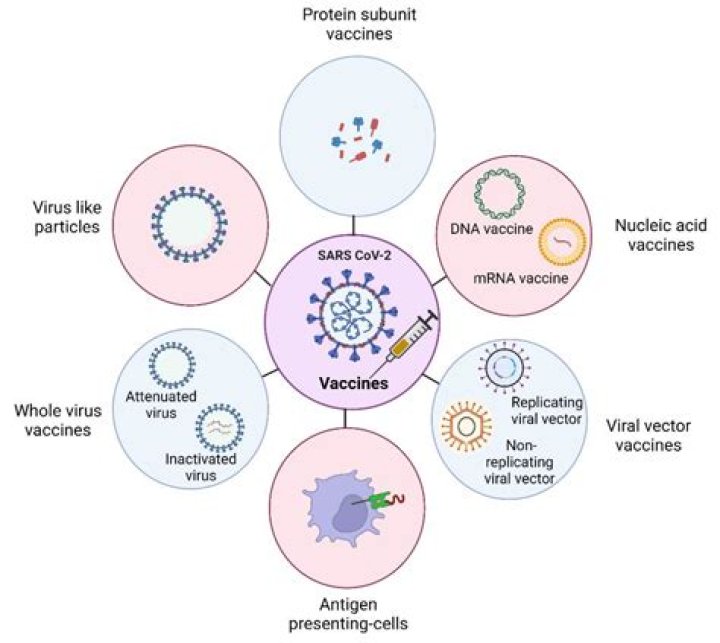 The Role Of Caleb White In COVID-19 Vaccine Development
