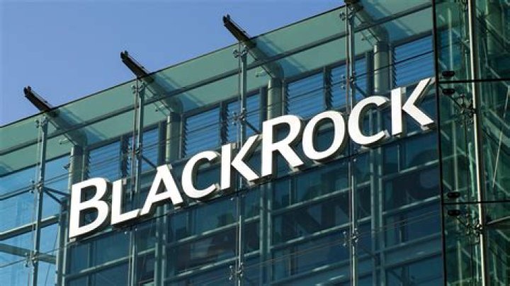 Understanding BlackRock: A Comprehensive Guide From Wikipedia