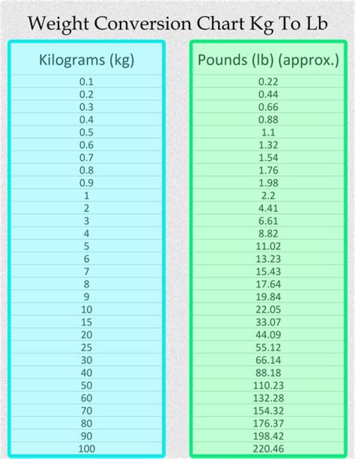 Understanding The Conversion: How Many Pounds Is 18.6 Kg?