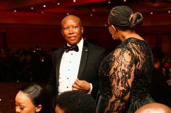 Unraveling Julius Malema's Marital History: Exploring His Wives
