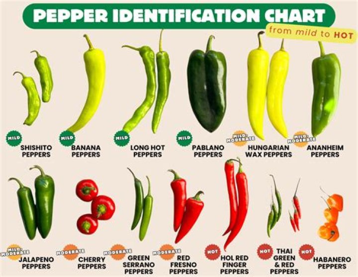 Unraveling The Red Hot Chili Peppers Controversy: A Deep Dive