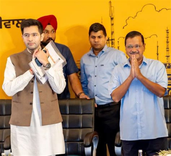 Unveiling The Legacy: Raghav Chadha Family Business
