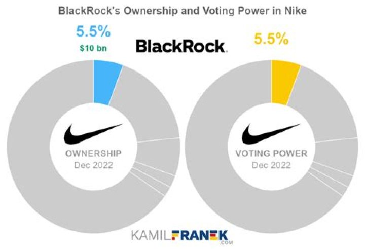 Unveiling The Ownership: How Much Does BlackRock Own?